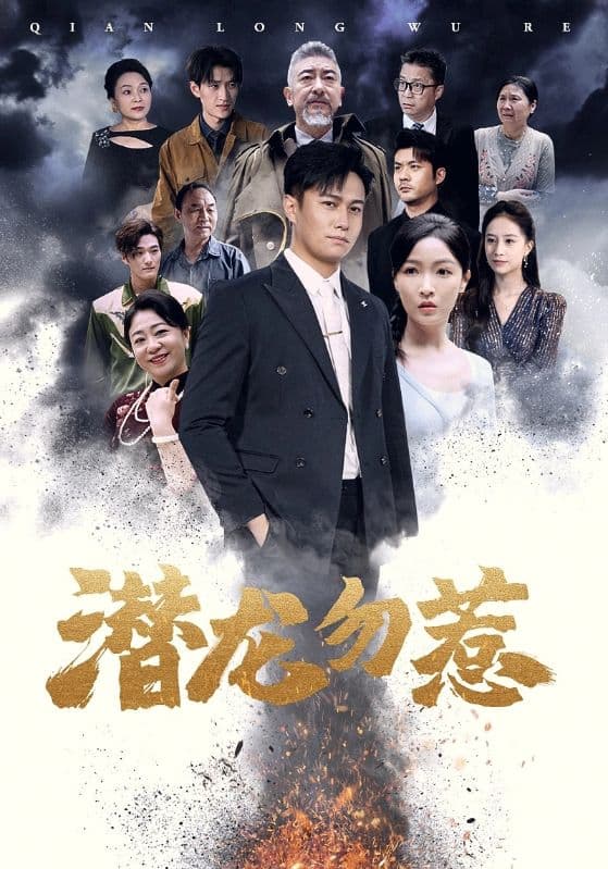 潜龙勿惹 - 现代都市 (2024) 海报