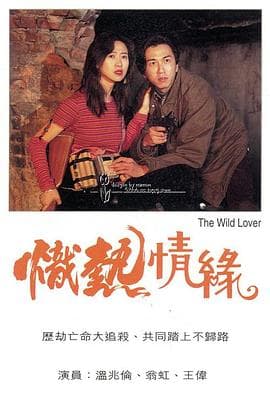 炽热情缘粤语 - 爱情片 (1995) 海报
