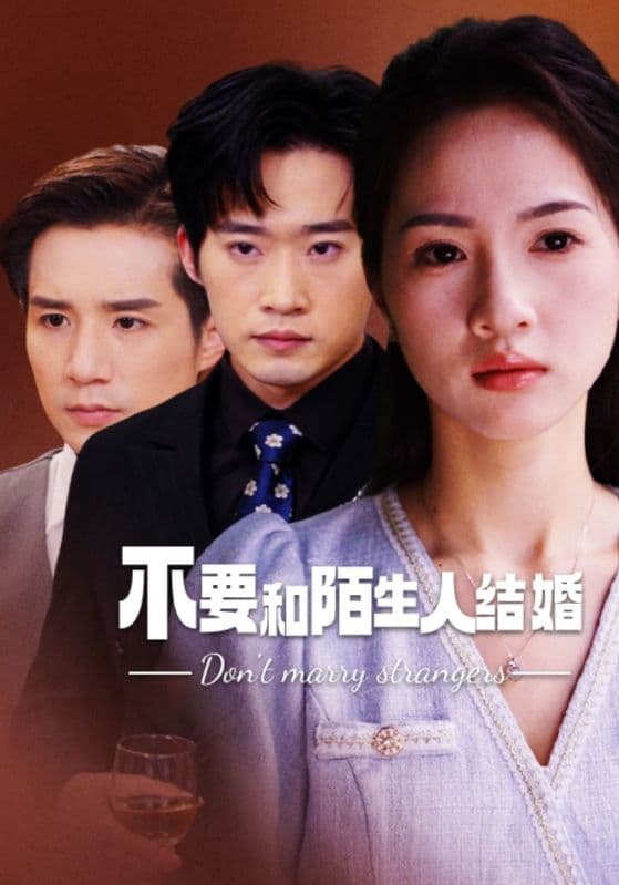 不要和陌生人结婚 - 女频恋爱 (2024) 海报