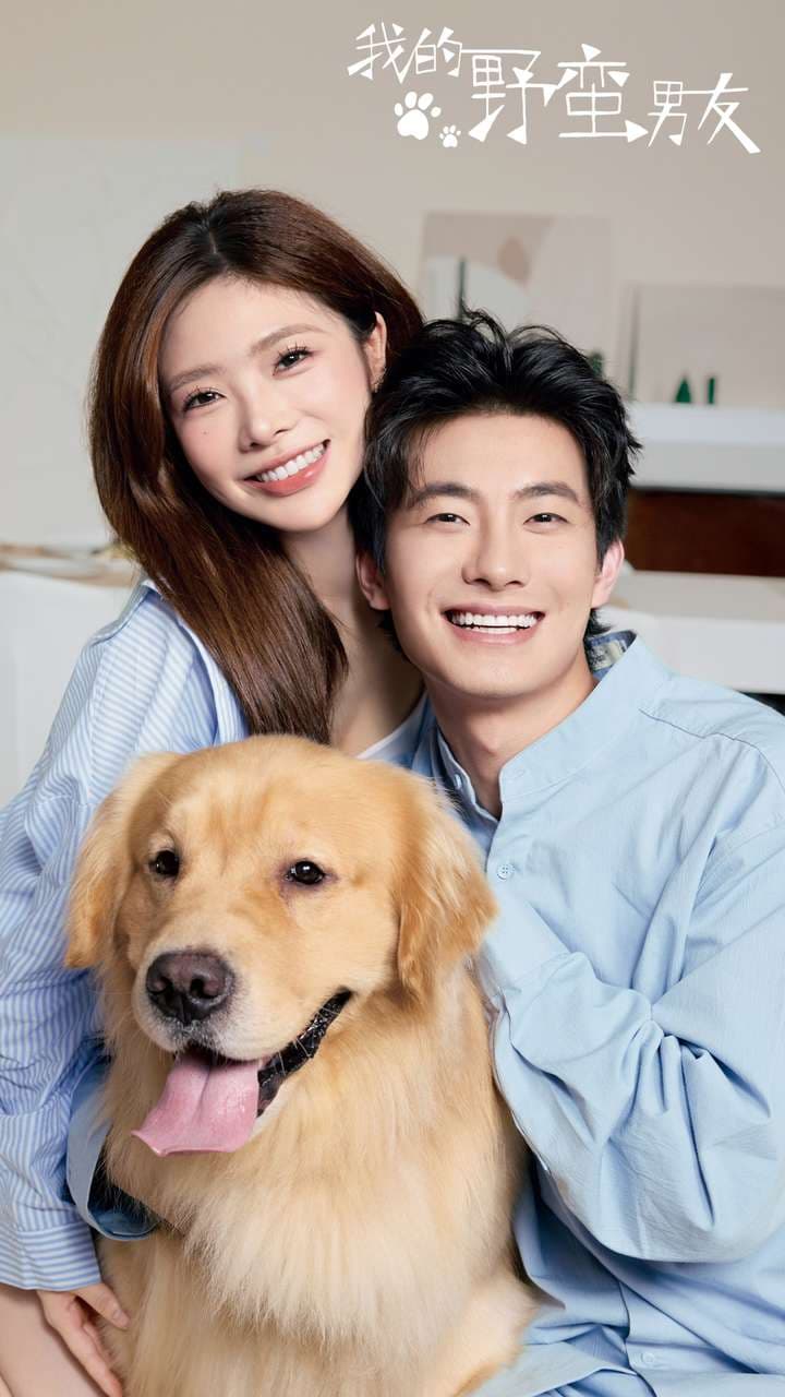 我的野蛮男友 - 女频恋爱 (2024) 海报