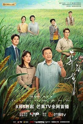 幸福草 - 国产剧 (2024) 海报