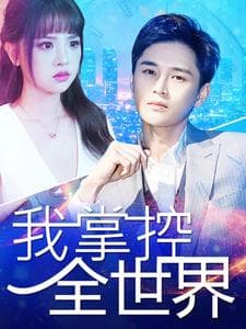 我掌控全世界 - 现代都市 (2024) 海报