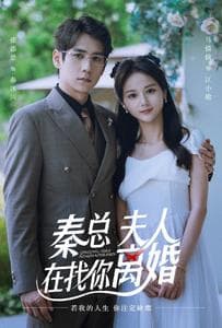 秦总,夫人在找你离婚 - 反转爽剧 (2024) 海报