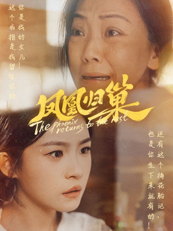 凤凰归巢 - 现代都市 (2024) 海报