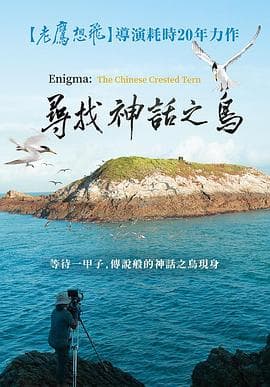 寻找神话之鸟 - 纪录片 (2021) 海报