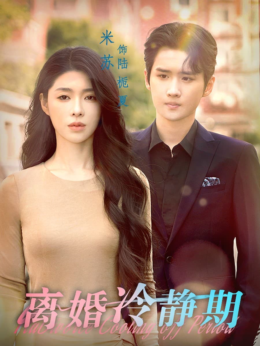 离婚冷静期 - 现代都市 (2024) 海报