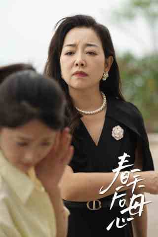春天后母心 - 现代都市 (2024) 海报