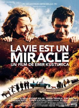 生命是个奇迹 - 剧情片 (2004) 海报
