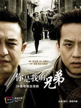 你是我兄弟 - 现代都市 (2010) 海报
