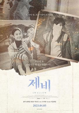 燕子 - 剧情片 (2023) 海报