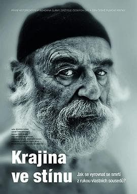 阴霾乡 - 剧情片 (2020) 海报