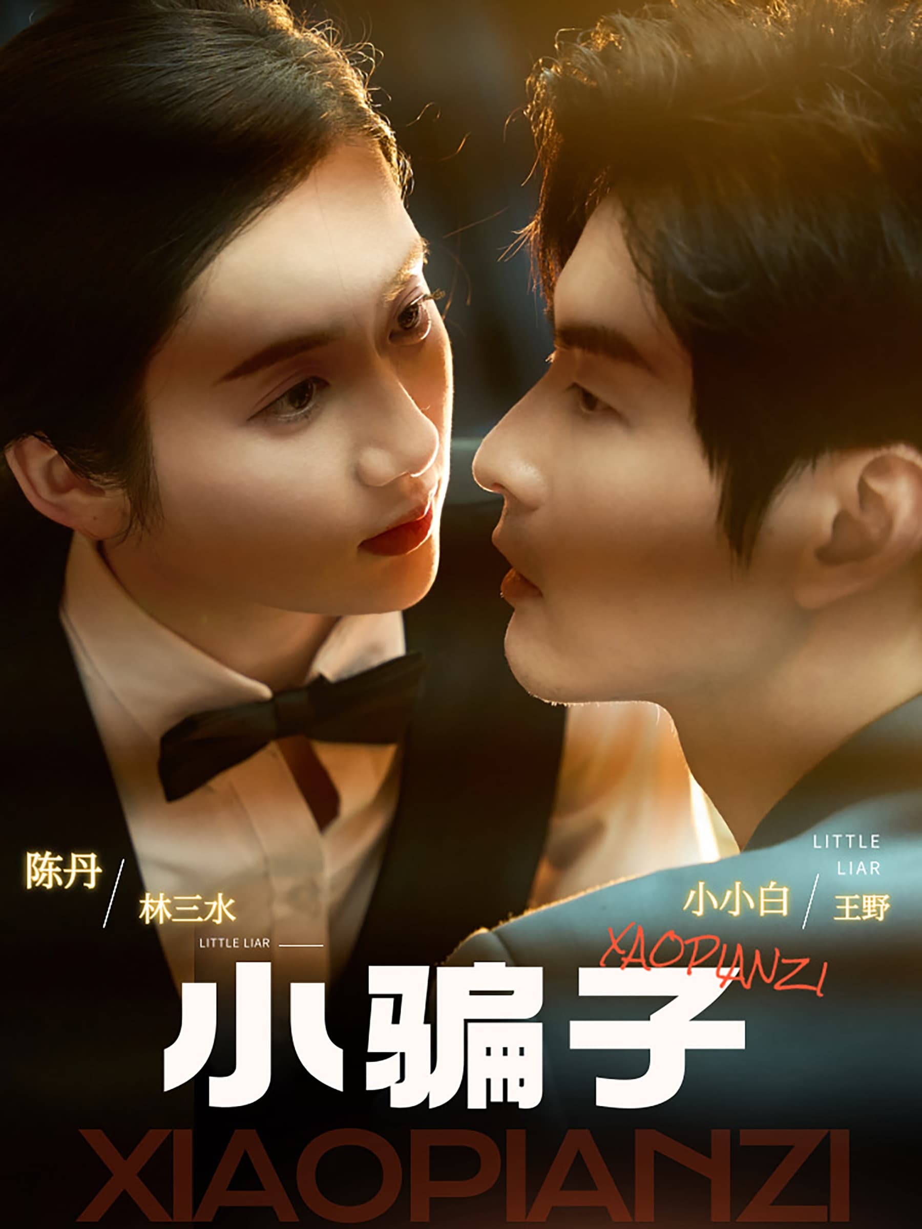 小骗子 - 现代都市 (2024) 海报