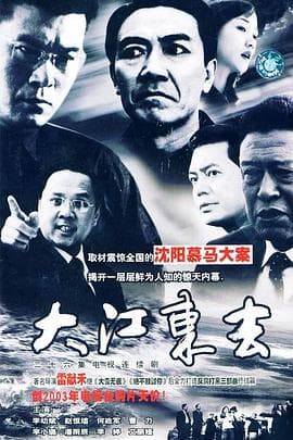 大江东去 - 剧情片 (2003) 海报