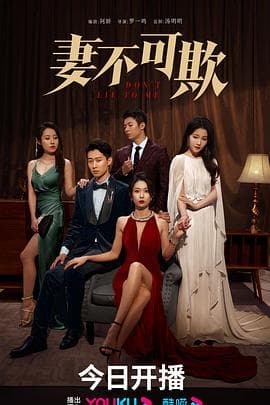 妻不可欺 - 现代都市 (0) 海报