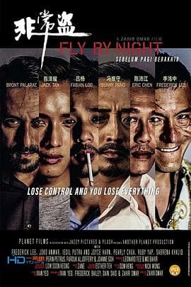 夜间飞行 - 剧情片 (2018) 海报