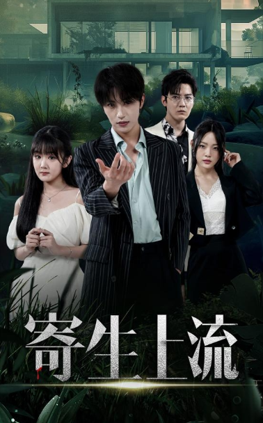 寄生上流 - 现代都市 (2024) 海报