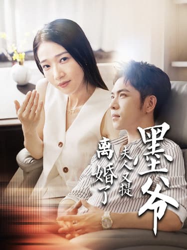 墨爷夫人又提离婚了 - 现代都市 (2024) 海报