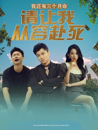 我还有三个月命,请让我从容赴死 - 现代都市 (2024) 海报