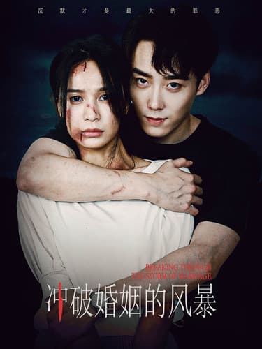 冲破婚姻的风暴 - 现代都市 (2024) 海报