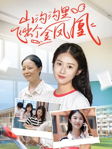 山沟沟里飞出个金凤凰 - 现代都市 (2024) 海报