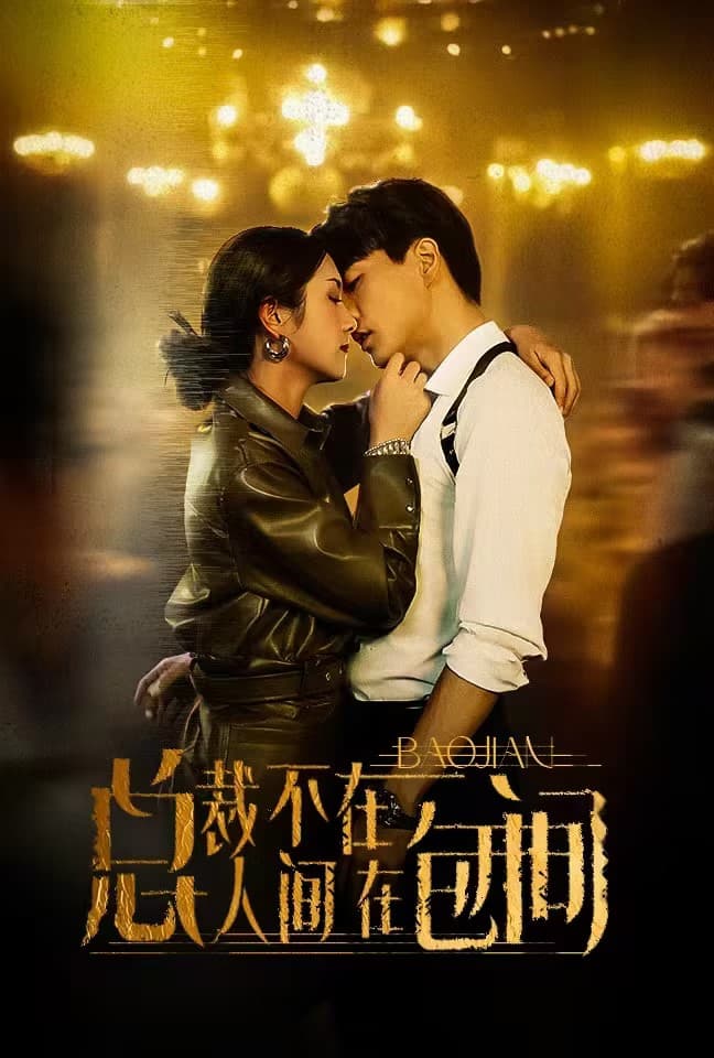 总裁不在人间在包间 - 女频恋爱 (2024) 海报