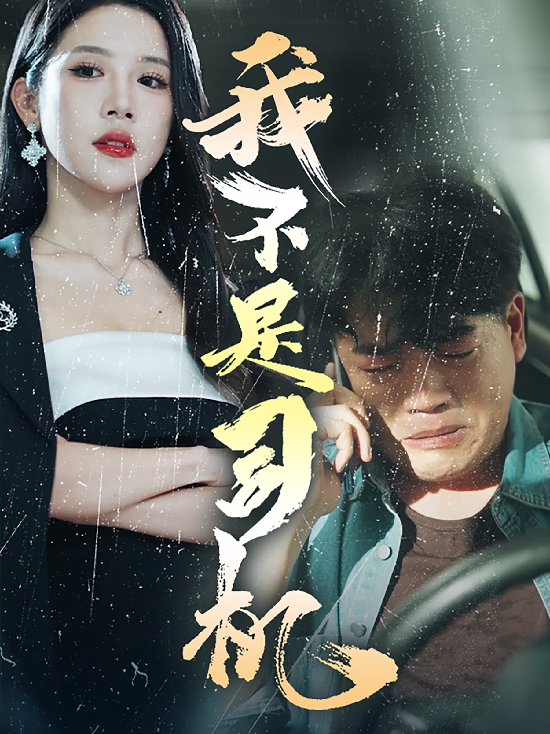 我不是司机 - 反转爽剧 (2024) 海报