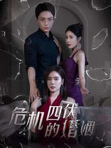 危机四伏的婚姻 - 现代都市 (2024) 海报