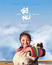 极地 - 国产剧 (2017) 海报