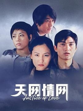 天网情网 - 国产剧 (2007) 海报