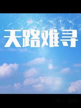 天路难寻 - 国产剧 (2017) 海报