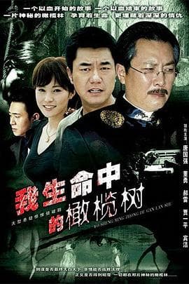 我生命中的橄榄树 - 国产剧 (2005) 海报