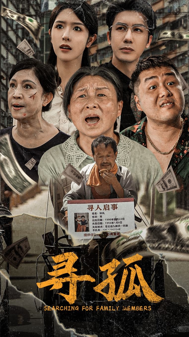 寻孤短剧 - 现代都市 (2024) 海报