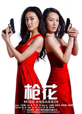 枪花 - 国产剧 (2013) 海报