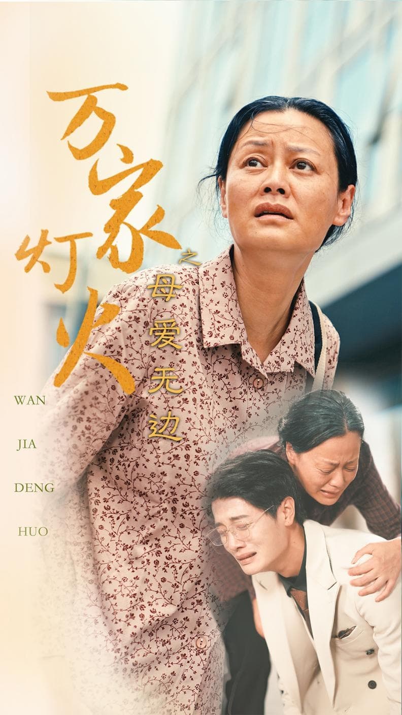 万家灯火之母爱无边 - 现代都市 (2024) 海报