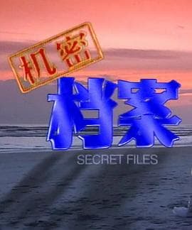 机密档案 - 国产剧 (2000) 海报