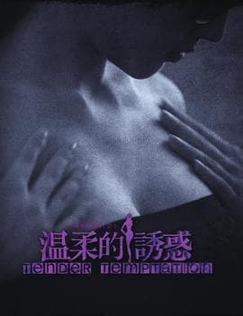 温柔的诱惑 - 国产剧 (2014) 海报