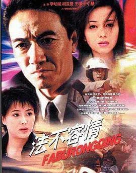 法不容情 - 国产剧 (2001) 海报