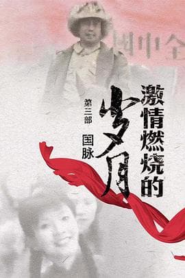 激情燃烧的岁月3 - 国产剧 (2010) 海报