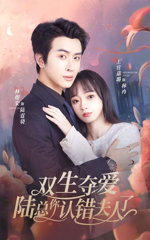 双生夺爱陆总你认错夫人了 - 女频恋爱 (2024) 海报