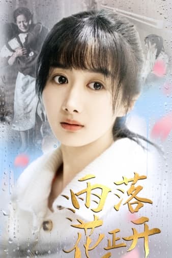 雨落花正开 - 现代都市 (2024) 海报