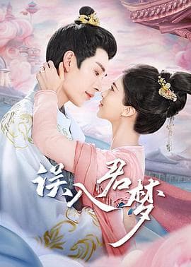 误入君梦 - 国产剧 (2024) 海报