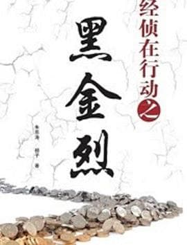 经侦在行动之黑金烈 - 国产剧 (2015) 海报