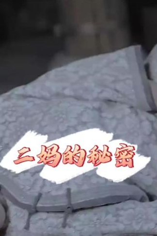 二妈的秘密 - 反转爽剧 (2024) 海报