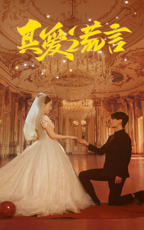 真爱谎言 - 现代都市 (2024) 海报