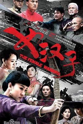 罗龙镇女人 - 国产剧 (2014) 海报
