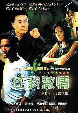 还我激情 - 国产剧 (2001) 海报