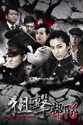 狙击部队 - 国产剧 (2013) 海报