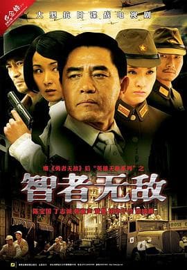 智者无敌 - 国产剧 (2011) 海报
