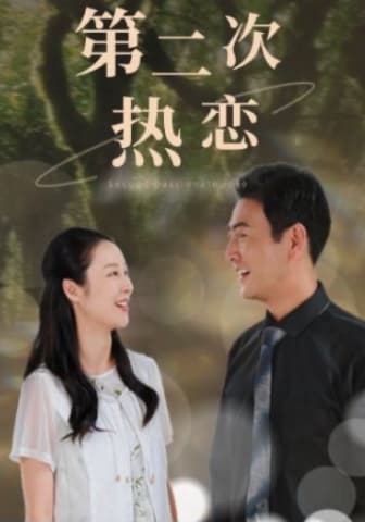 第二次热恋 - 现代都市 (2024) 海报