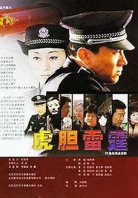 虎胆雷霆 - 国产剧 (2004) 海报